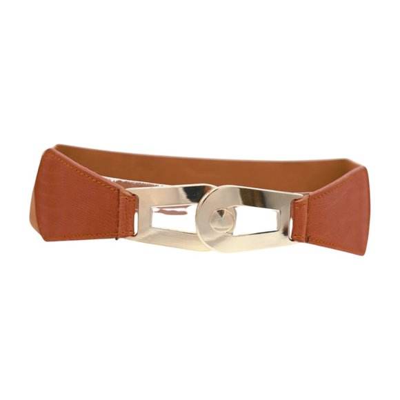 Women Brown Elastic Skinny Waistband Hip Waist Belt Gold Metal Buckle S M z046 - Picture 2 of 13
